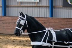 hdv2009_4524