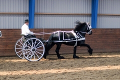 hdv2009_4529