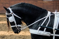 hdv2009_4532