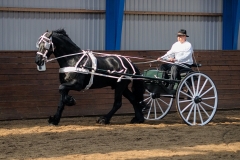 hdv2009_4540