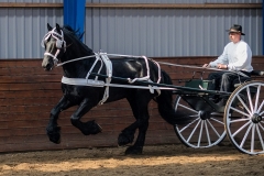 hdv2009_4544