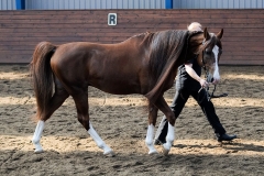 hdv2009_4552