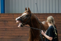hdv2009_4570
