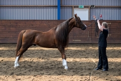 hdv2009_4572