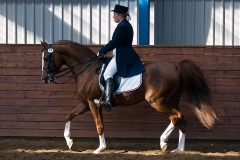 hdv2009_4573