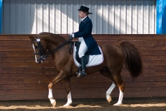 hdv2009_4574