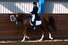 hdv2009_4575