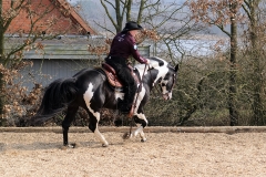 hdv2009_4593