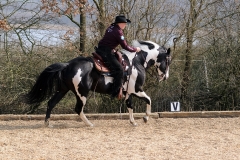 hdv2009_4595