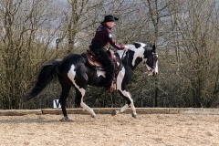 hdv2009_4596