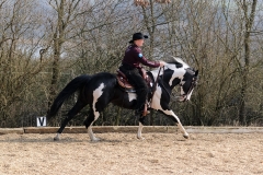 hdv2009_4597