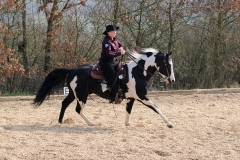 hdv2009_4599