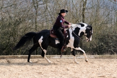 hdv2009_4615