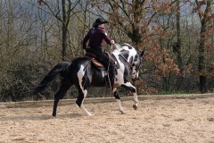 hdv2009_4627