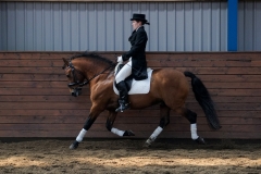 hdv2009_4628