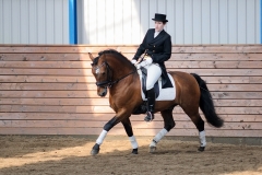 hdv2009_4632