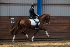 hdv2009_4706