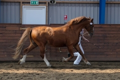 hdv2009_4717