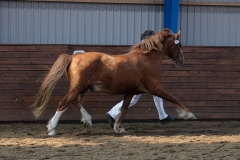 hdv2009_4719