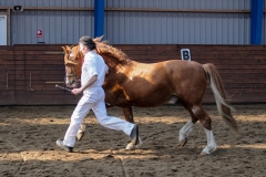 hdv2009_4726