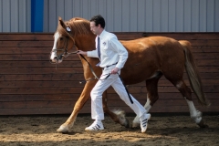 hdv2009_4742