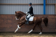 hdv2009_4744