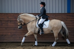 hdv2009_4752