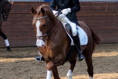 hdv2009_4753