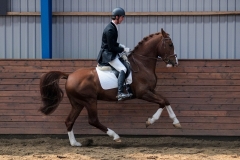 hdv2009_4767