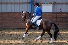 hdv2009_4775