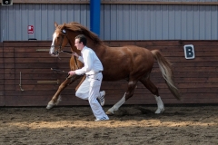 hdv2009_4793