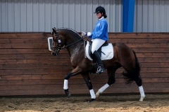 hdv2009_4796