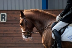 hdv2009_4808