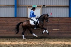 hdv2009_4821