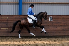hdv2009_4823