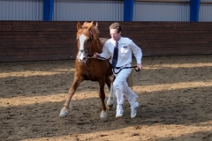 hdv2009_4855