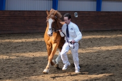 hdv2009_4856