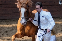 hdv2009_4857