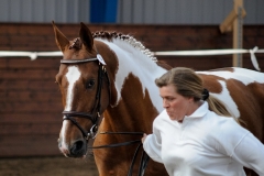 hdv2009_4876
