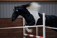 hdv2009_4905