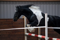 hdv2009_4908