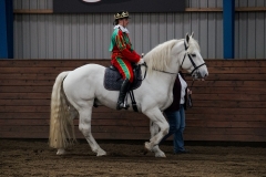 hdv2009_4955