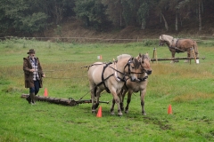 hora2008_4829