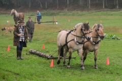 hora2008_4832