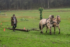 hora2008_4833
