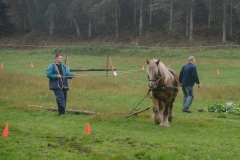 hora2008_4844