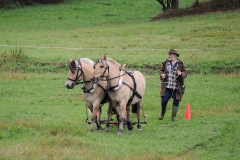 hora2008_4868