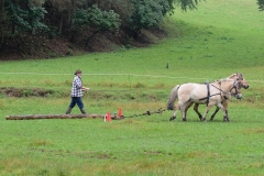 hora2008_4901
