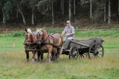 hora2008_4907