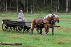 hora2008_4911